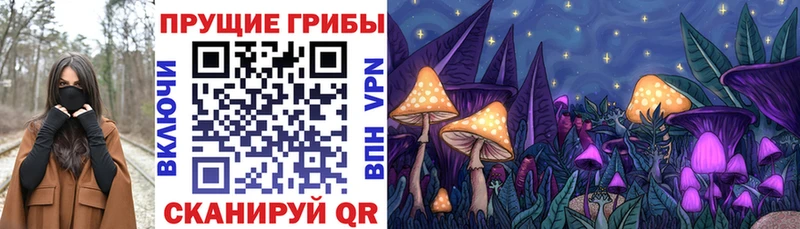 Псилоцибиновые грибы Psilocybine cubensis  Купить где  Шебекино 